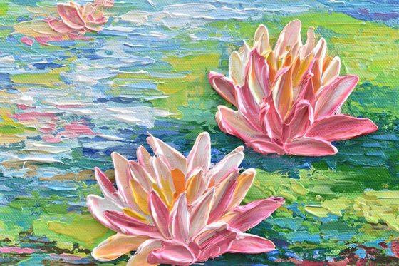 Coral Pink Water Lilies