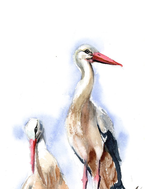 White Stork Nest - watercolor painting