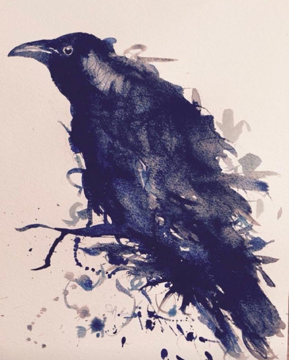 Expressive Animal Ink Drawing By Shabs Beigh, 17 X 22", Monsoon, Original Artwork