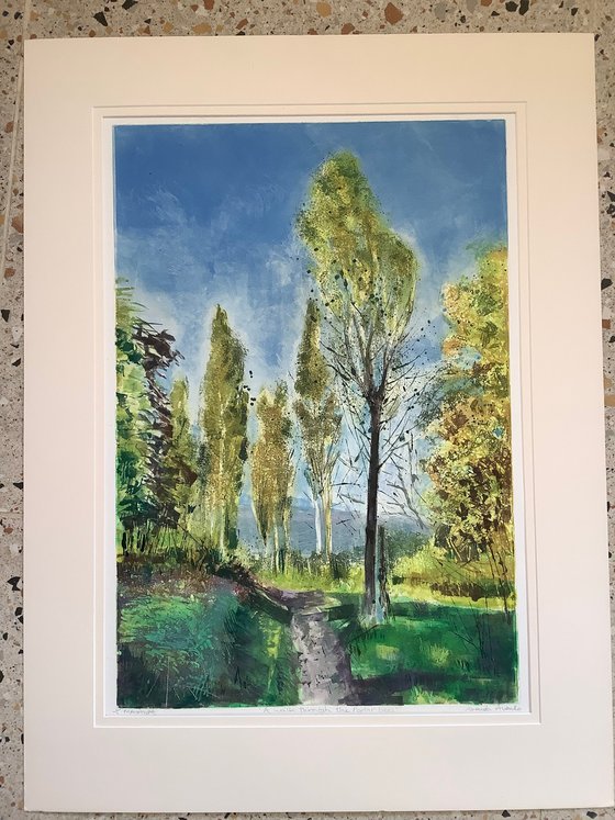A walk through the Poplar trees