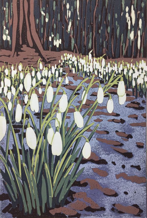 Snowdrops and Melting Snow