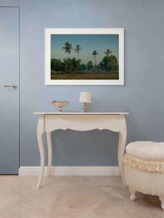 Four Palms
