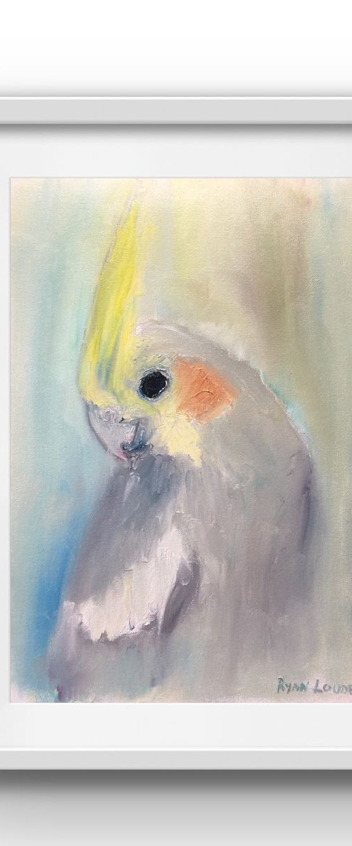 Cockatiel by Ryan  Louder