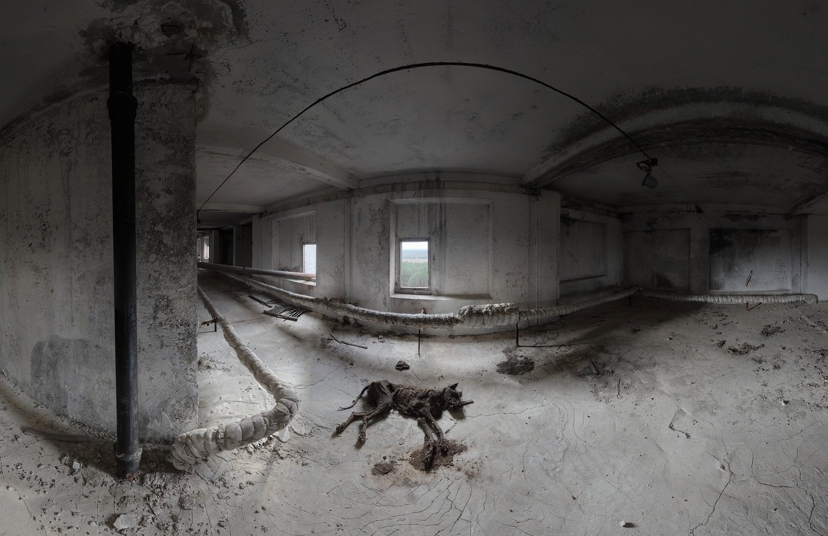 Surrealistic Photograph , #48. Pripyat. Dog Mummy By Stanislav Vederskyi, 59 X 39, Artwork For Sale On Artfinder