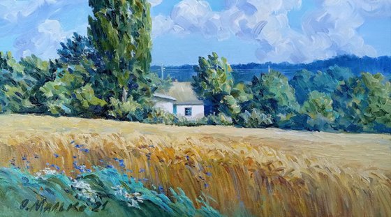 Inspired by Van Gogh. Wheat field with Poplars / Ukrainian rural landscape. Original picture