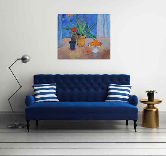 Aloe Vera and cactus