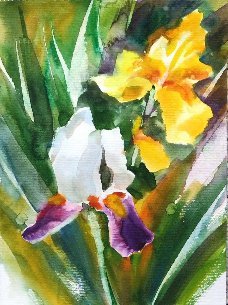 Purple White and Yellow Irises Loose Watercolor Painting by Ion Sheremet