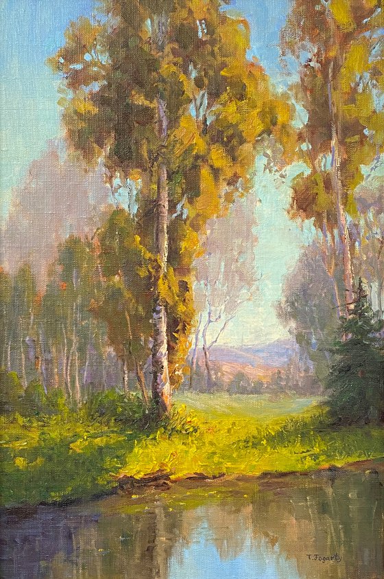 Late Light Summer Landscape