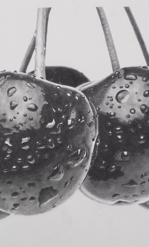 Cherries with Waterdrops by Dietrich Moravec