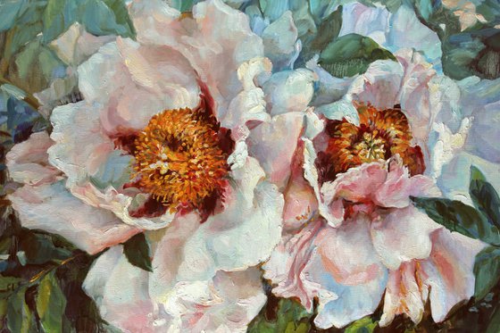 Two peonies. 100x70