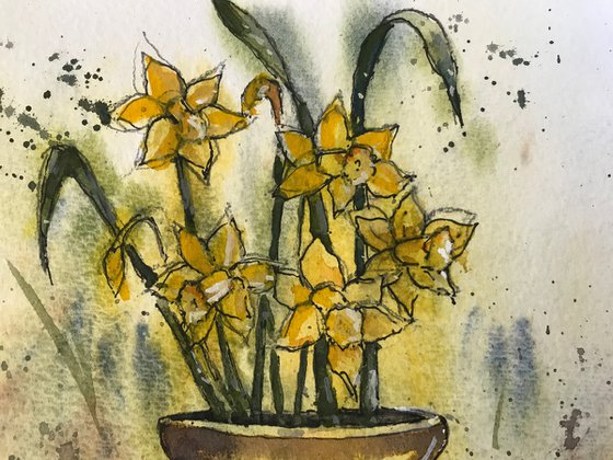 Pot of Daffodils