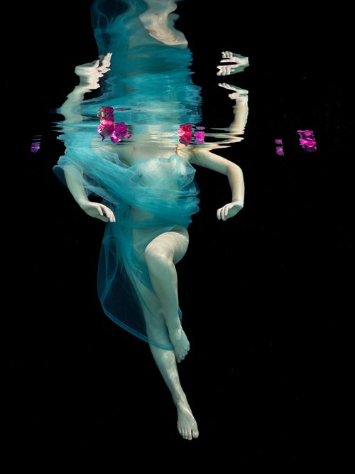 Dancing Flowers - underwater photograph - print on paper by Alex Sher