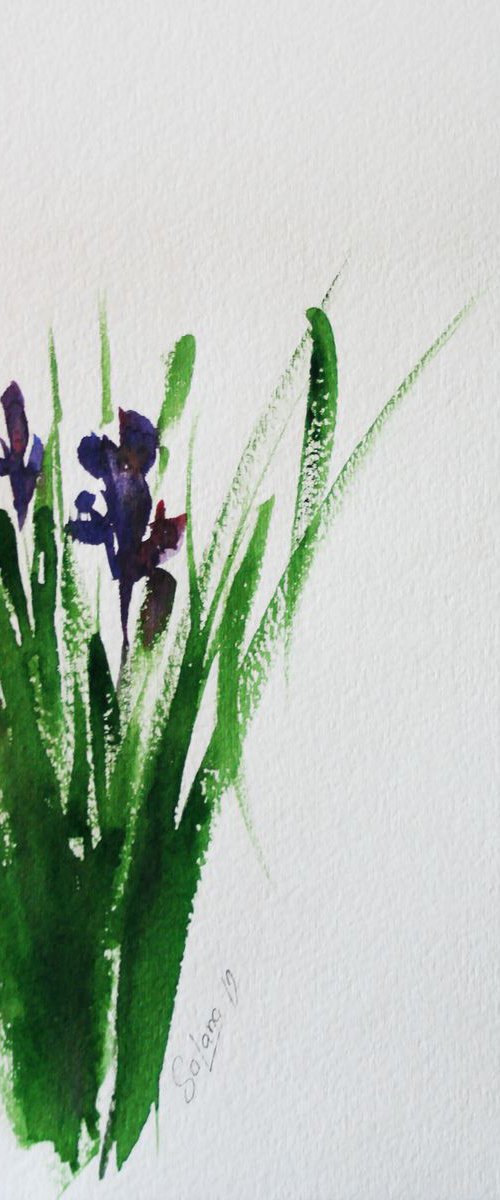 Iris 2  / Original Painting by Salana Art