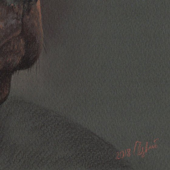 Pastel portrait of rottweiler dog. 30x21 cm