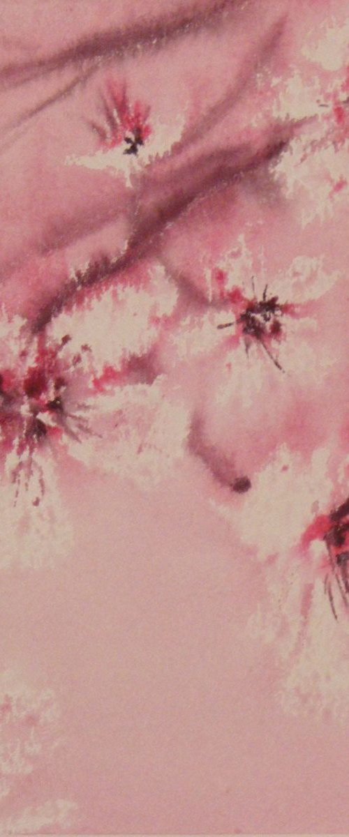"Japanese cherry" by Ivan  Grozdanovski