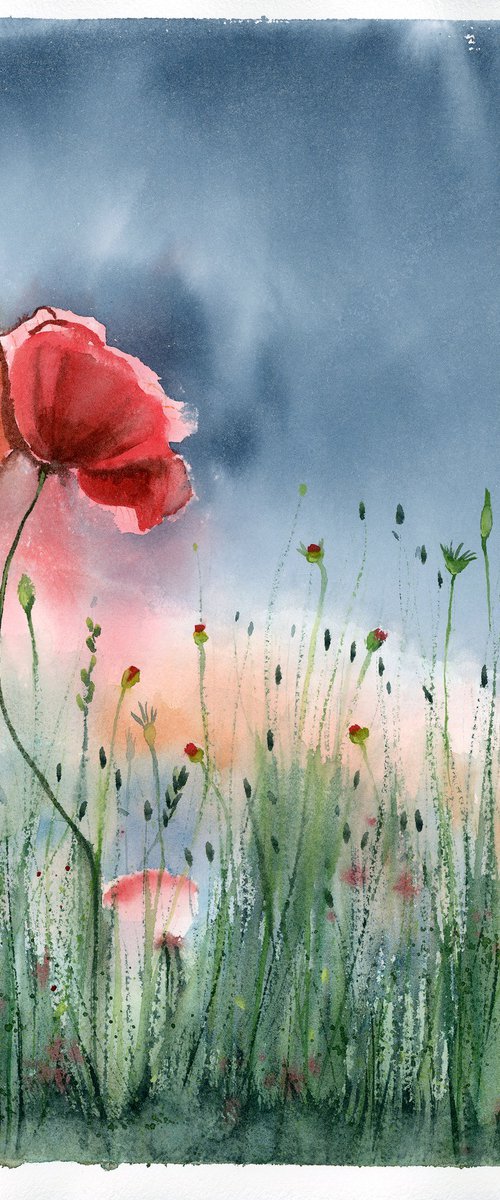 Poppies by Olga Tchefranov (Shefranov)
