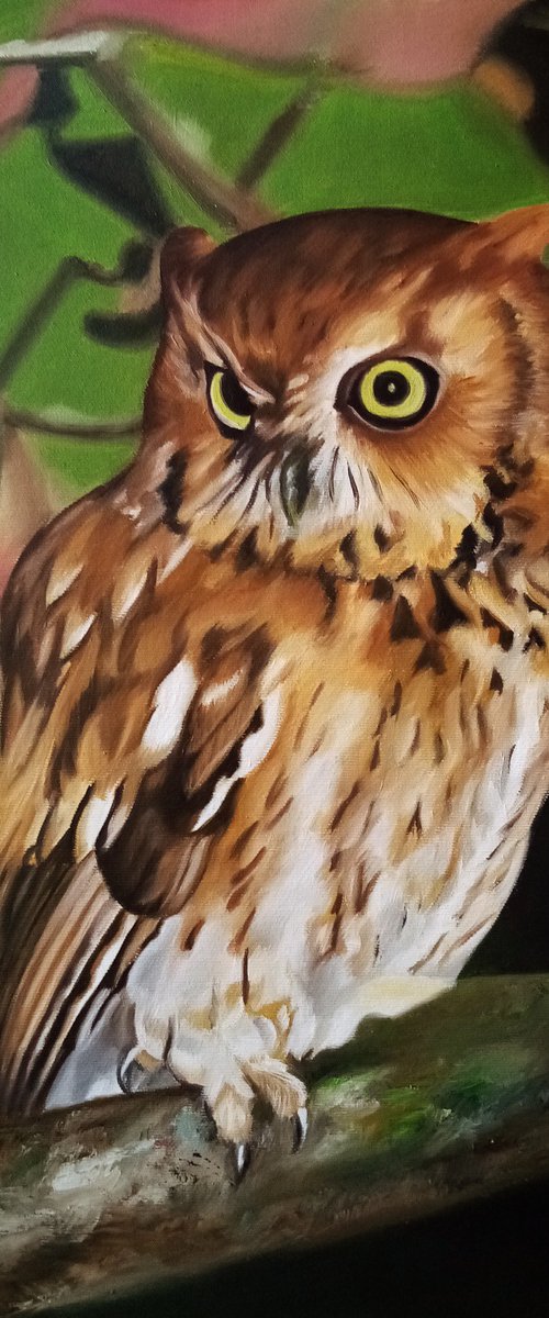 Owl by Simona Tsvetkova