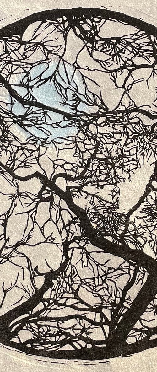 Grounding - Tree Branch Contemporary Linocut Print by C Staunton