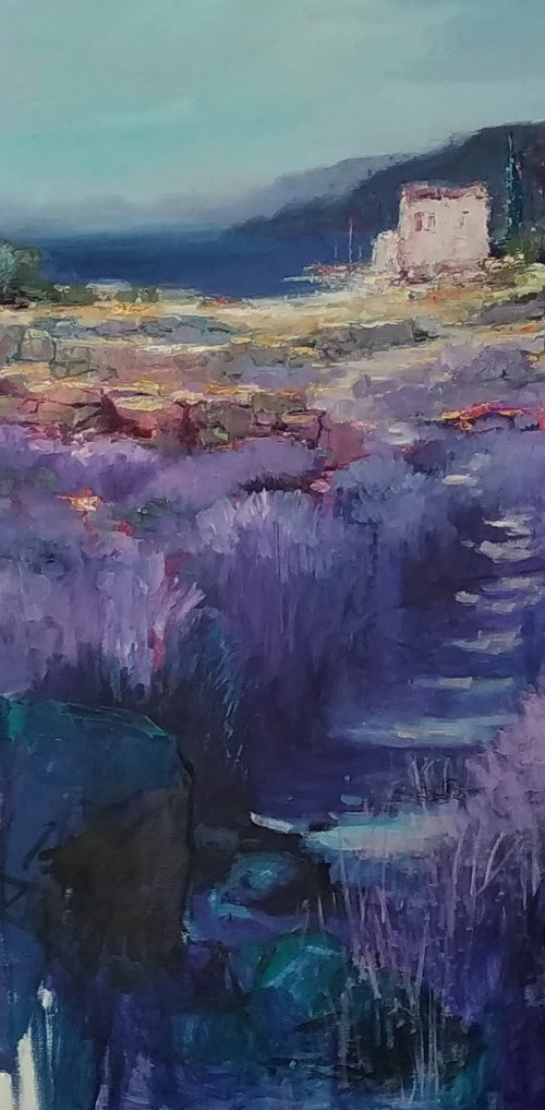 Lavender by Ivica Petraš