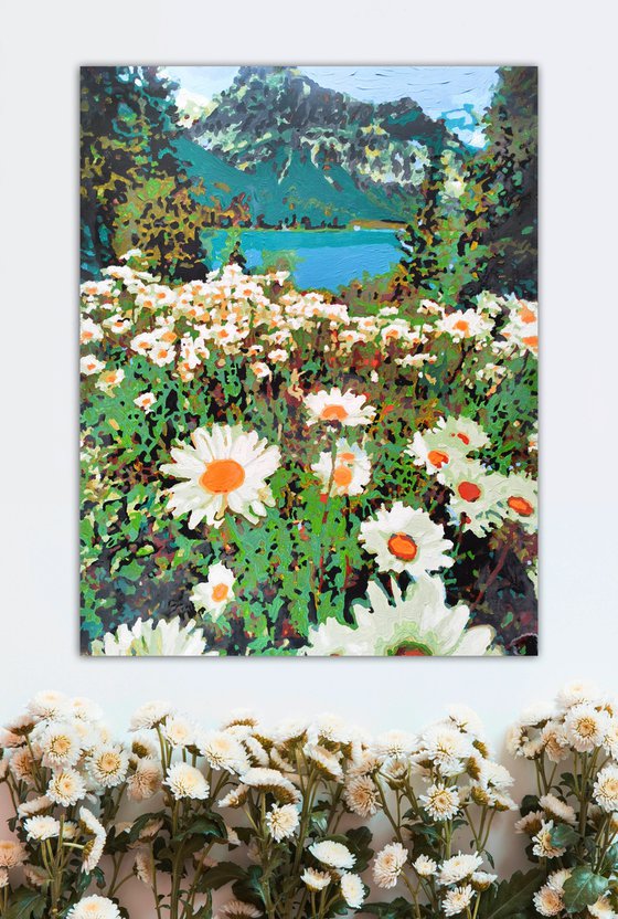Daisies field in mountains