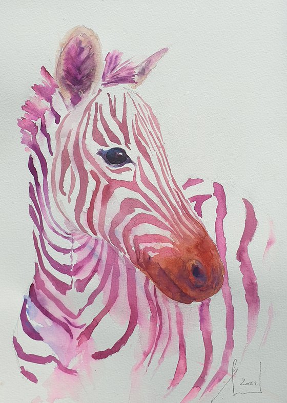 ZEBRA IN PINK original watercolor 27X37 2022.002