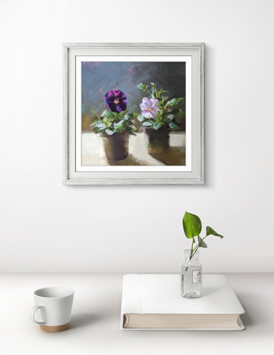 Pansies