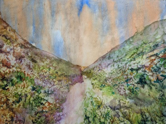 Path through a wild place