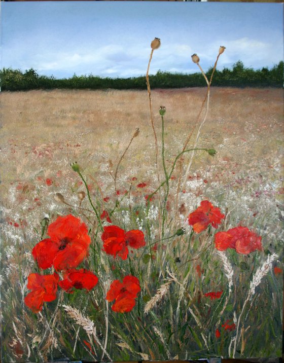 Poppies / Original Painting