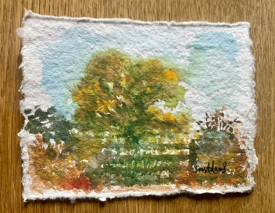 October oak