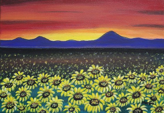 Sunflower fields at sunset landscape