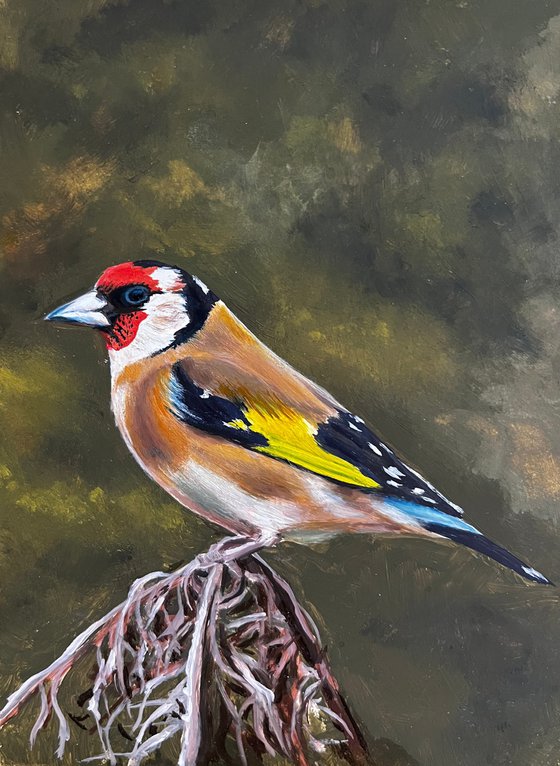 Oil Bird Triptych - Custom Commission