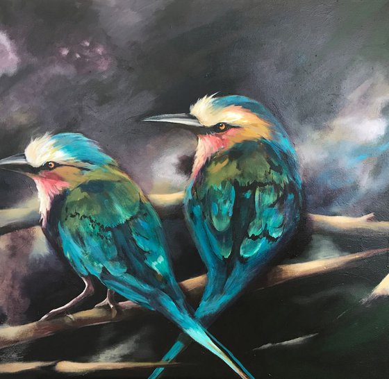 Bee-Eaters Marriage
