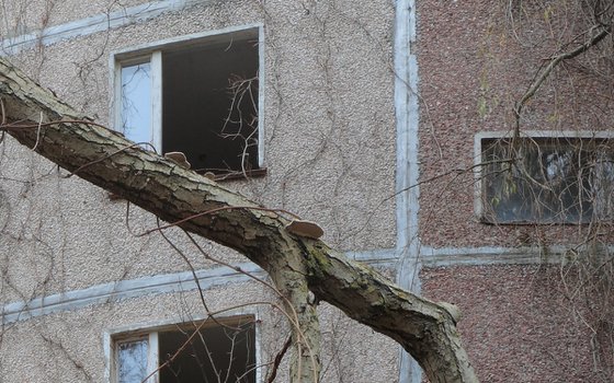 #23. Pripyat old yard 1 - XL size