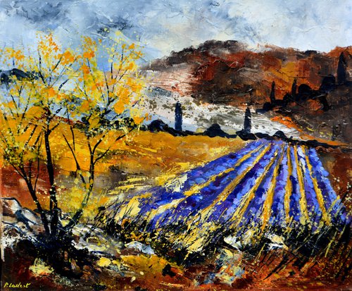 Lavender in Provence  France - 6523 by Pol Henry Ledent