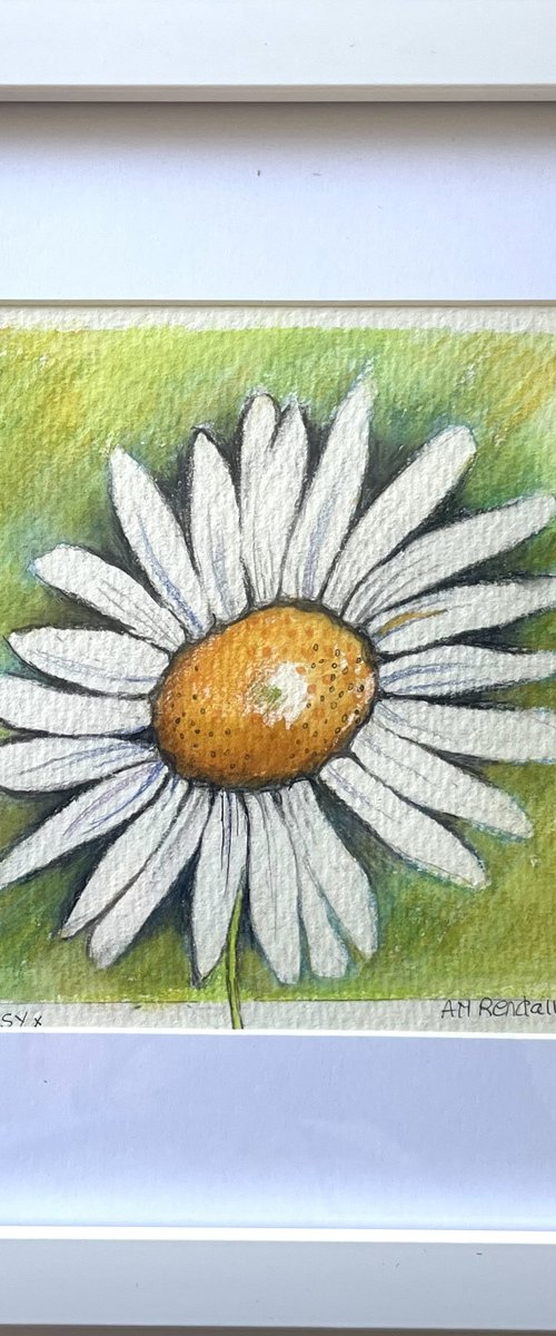 Daisy by Angela Rendall