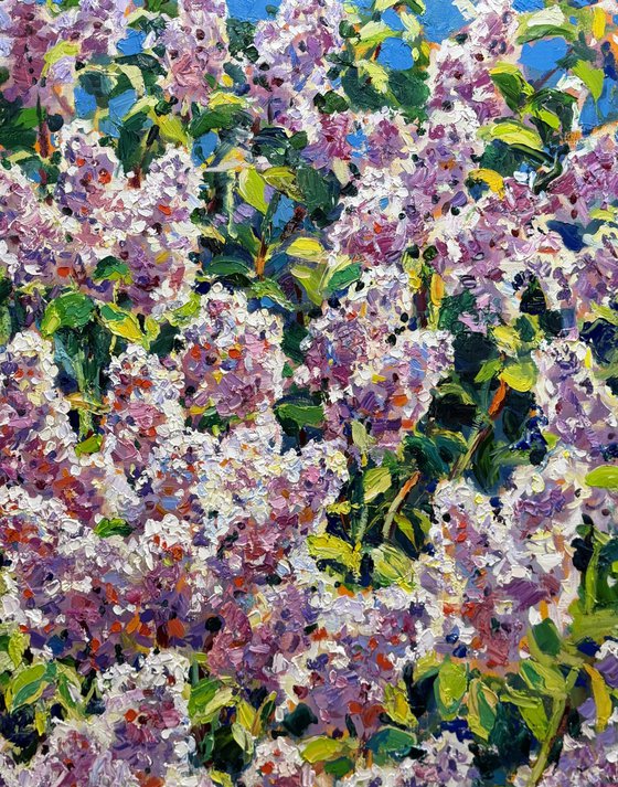 Breath of spring..