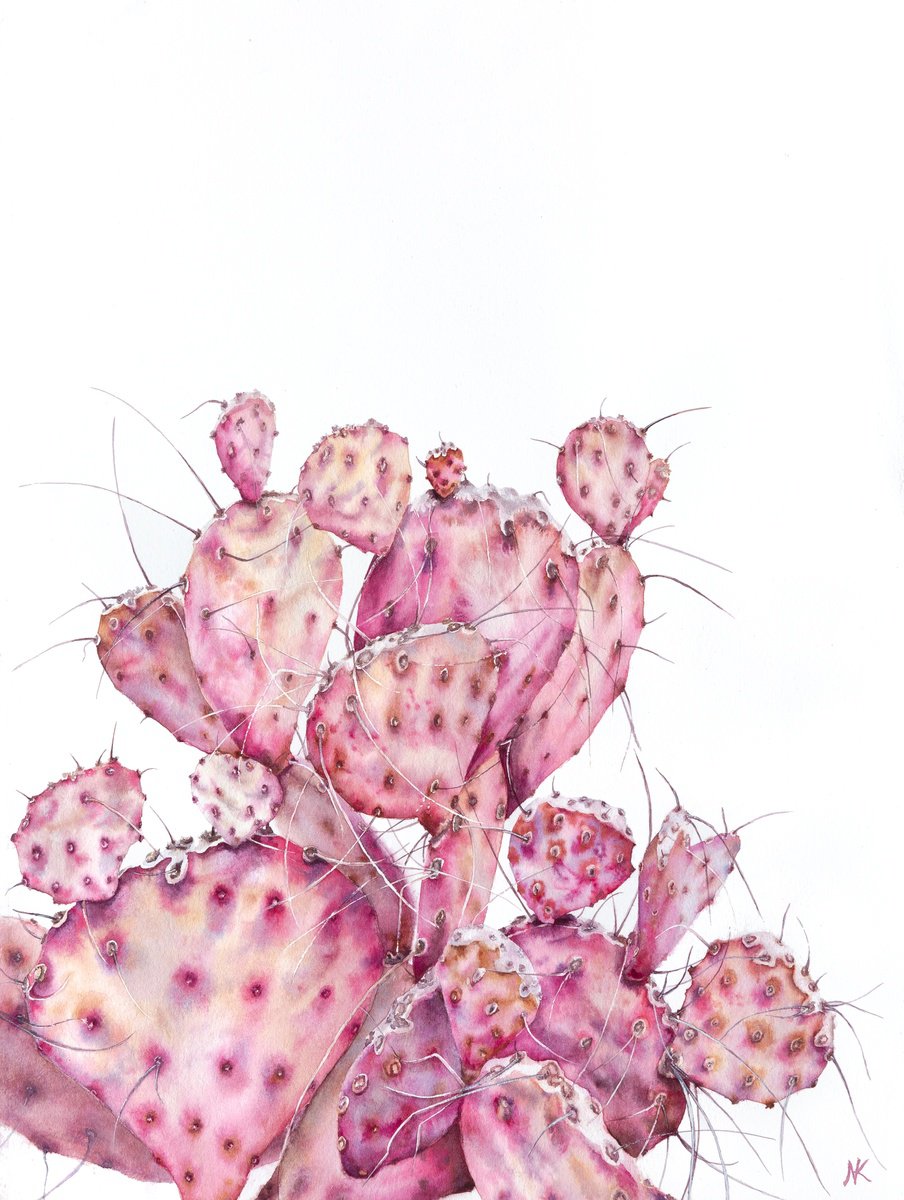 Pink opuntia cactus by Kateryna Nazarenko