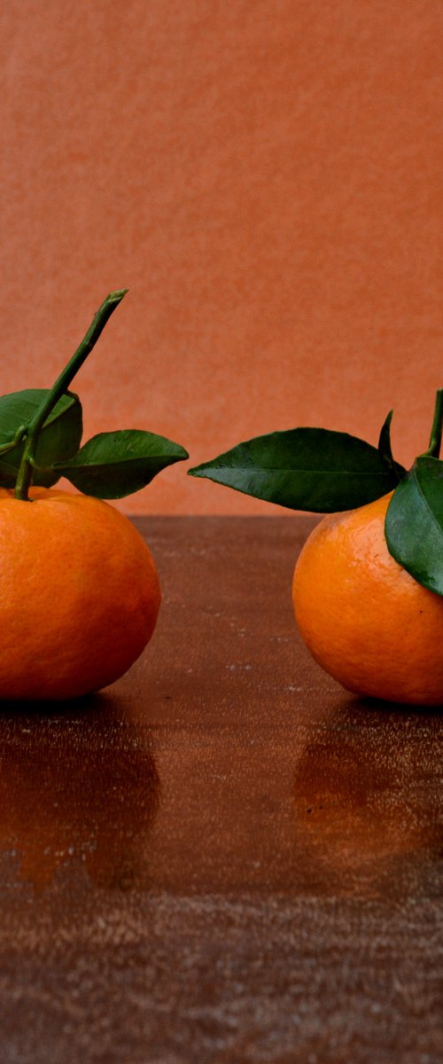 Two oranges by Elena Zapassky