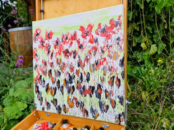 Poppy Flowers 2