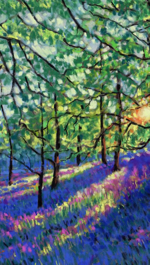 Bluebells by Zoe Elizabeth Norman