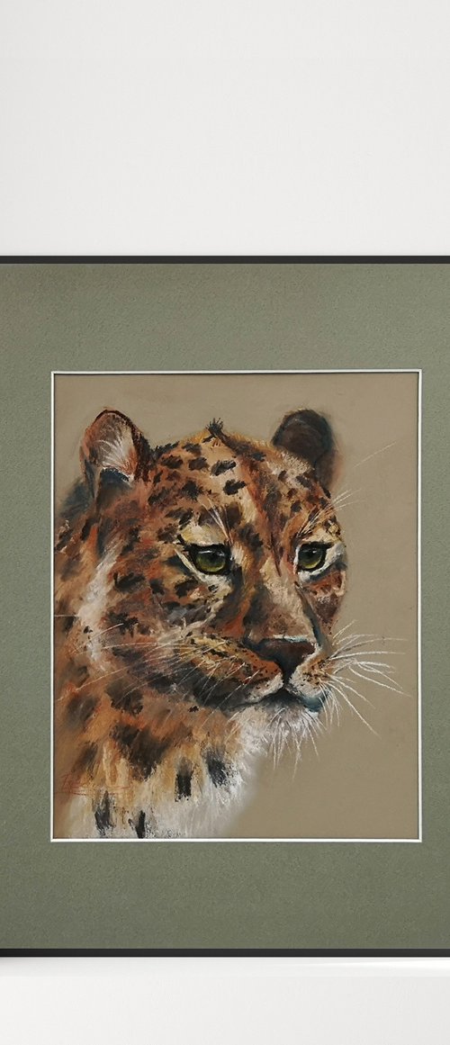 Leopard portrait  (pastel) by Olga Tchefranov (Shefranov)