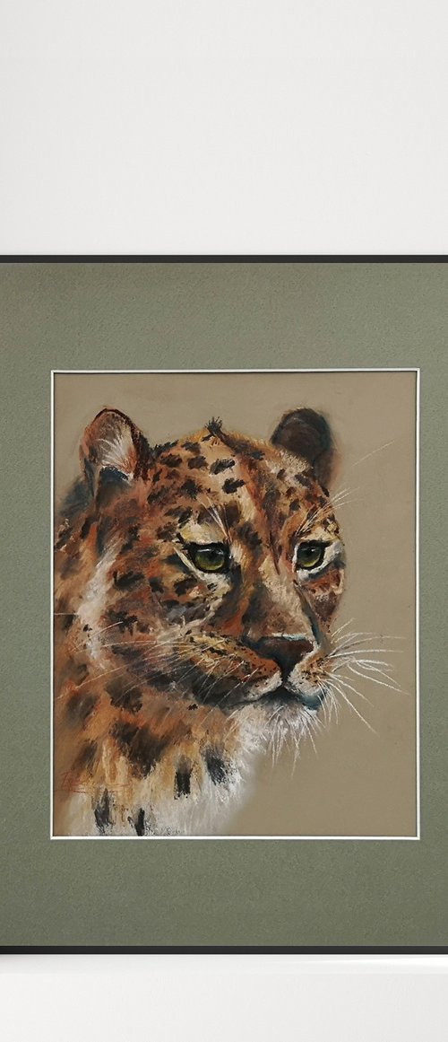 Leopard portrait by Olga Tchefranov (Shefranov)