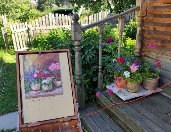 Potted Flowers