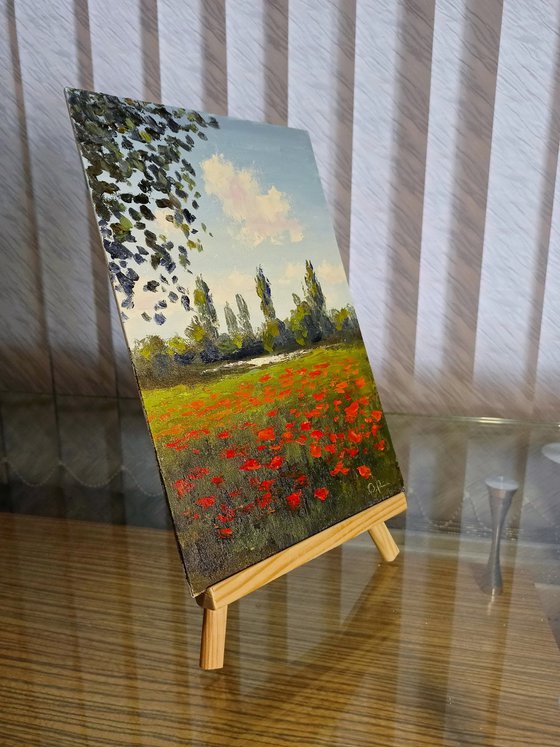 Poppies by the river