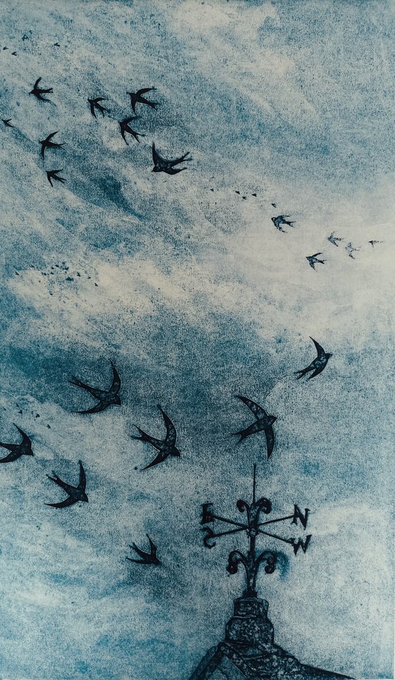 A Memory of Swifts