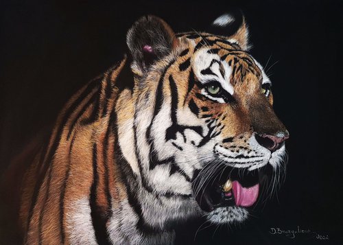 Tiger realism wild animals pastel on pastelmat by Deimante Bruzguliene
