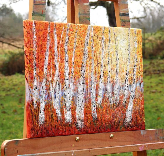 Autumnal birch trees 2