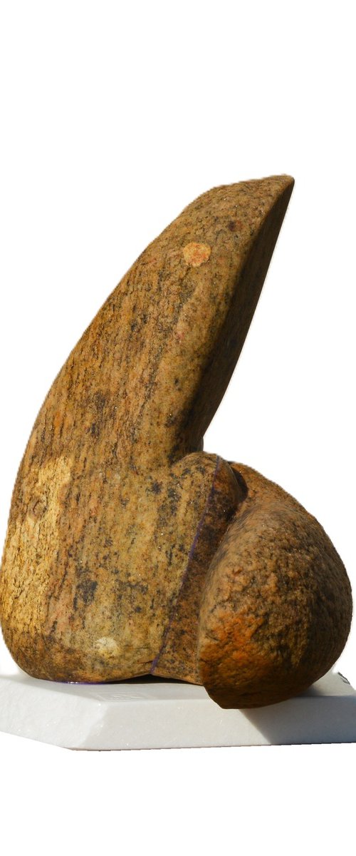 "Backward Roll" by Ognyan Chitakov