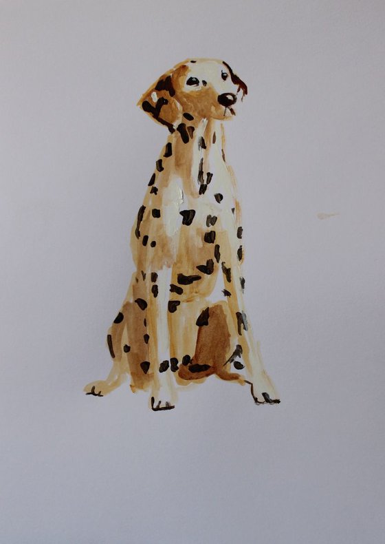 Sitting Dalmation