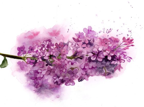 Lilac - Original Watercolor